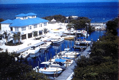 click for more Florida!